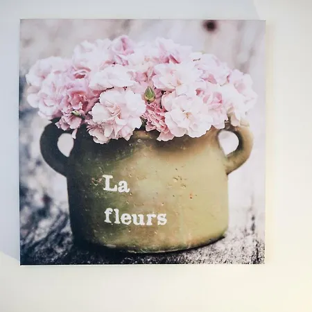 Apartment Aligator *