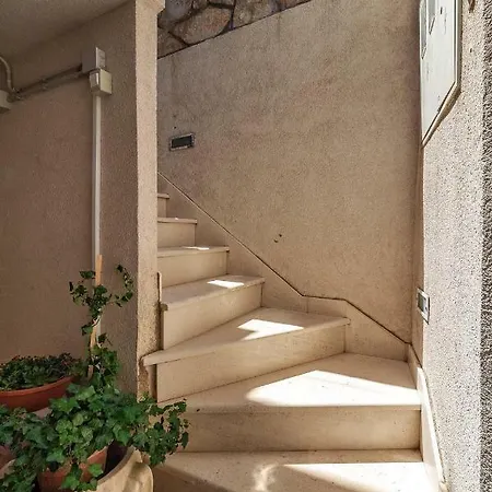 Aligator 普利莫顿