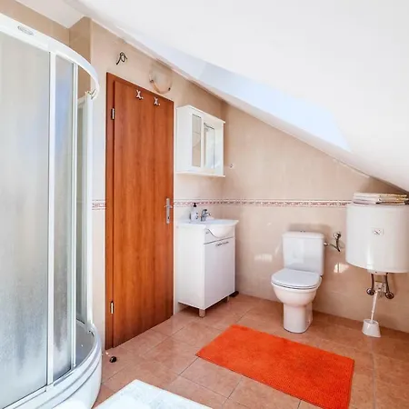 Aligator 普利莫顿