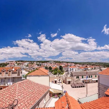 Aligator 普利莫顿