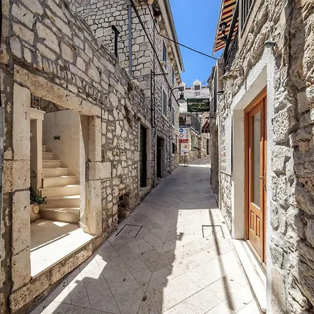 Apartment Aligator *